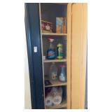 Closet of Cleaning Supplies