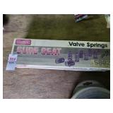 Valve springs