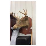 8 Point Deer Mount