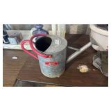 Ace Metal Watering Can