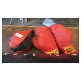 Everlast Boxing Mitts and Speed Bag