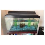 10gal Fish Tank, 2 Fish including Humpy the Fish,