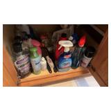 Lot of Cleaners Under Sink