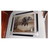 Framed Elephant Picture