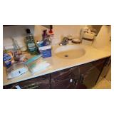 Contents on Top of Sink