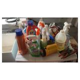 Lot of Bleach and Laundry Detergent