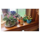 Solar-powered toys, plants