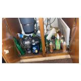 Collection of Cleaning Supplies