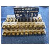 Federal 243 Win 100gr JSP