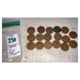 (17) Wheat Leaf Pennies
