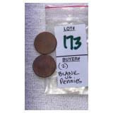 (2) Blank Pennies