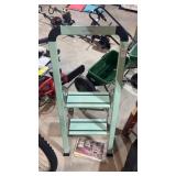 Ascent Teal Step Ladder