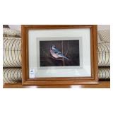 Blue jay print, signed, 17 in x 14 in