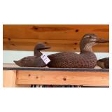 2 Duck Decoys