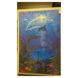 Dolphin poster, 35' x   23'