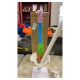 Alivovo Spine Diagram