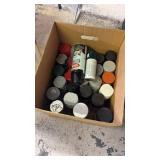 Box of Spray Paints