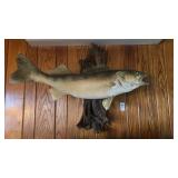 Mounted Fish