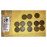 (13) Indian head pennies