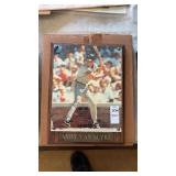 Andy Van Slyke Plaque