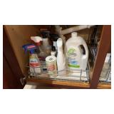 Assortment of Cleaning Supplies