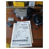 Panasonic PV-DV400D digital palmcorder