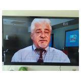 Sony 54in. TV