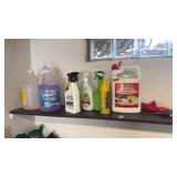 Lot of Cleaners and Bug Killer