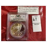 2013  W enhanced silver eagle