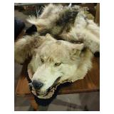 Coyote? Wolf? Rug with claws, as is