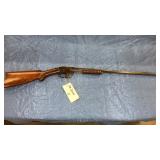 Savage Rifle - .22 LR