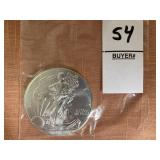 2015 American Silver Eagle coin