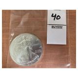 2013 American Silver Eagle coin