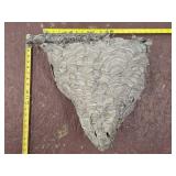 Huge bald-faced hornets nest. Approx. 18x16x13