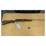 Springfield 84c .22