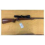 Remington 504 .22