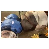 2 Coleman sleeping bags