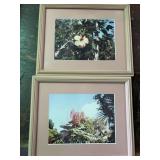 4 pc Lot of Pictures