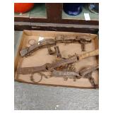 Lot of longspring traps