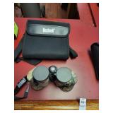 Bushnell 10 x 50 binoculars