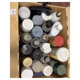 Assorted Lot of Spray Paint, Bug Killer, etc