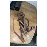 Jumper Cables