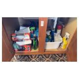 Lot of Cleaning Supplies Under Sink