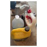 Coolant, Carpet Cleaner, Oil, & Bug Stop