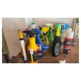Lot of Car Cleaners and More