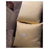 2 pc Newport yellow decorative pillows