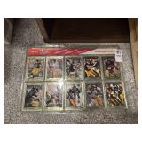 Pittsburgh Steelers Action Packed Card Set