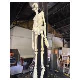 Hanging Plastic Skeleton