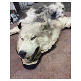 Mounted Wolf Skin with Claws Approx 80 in long