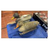 Two Decoy Ducks